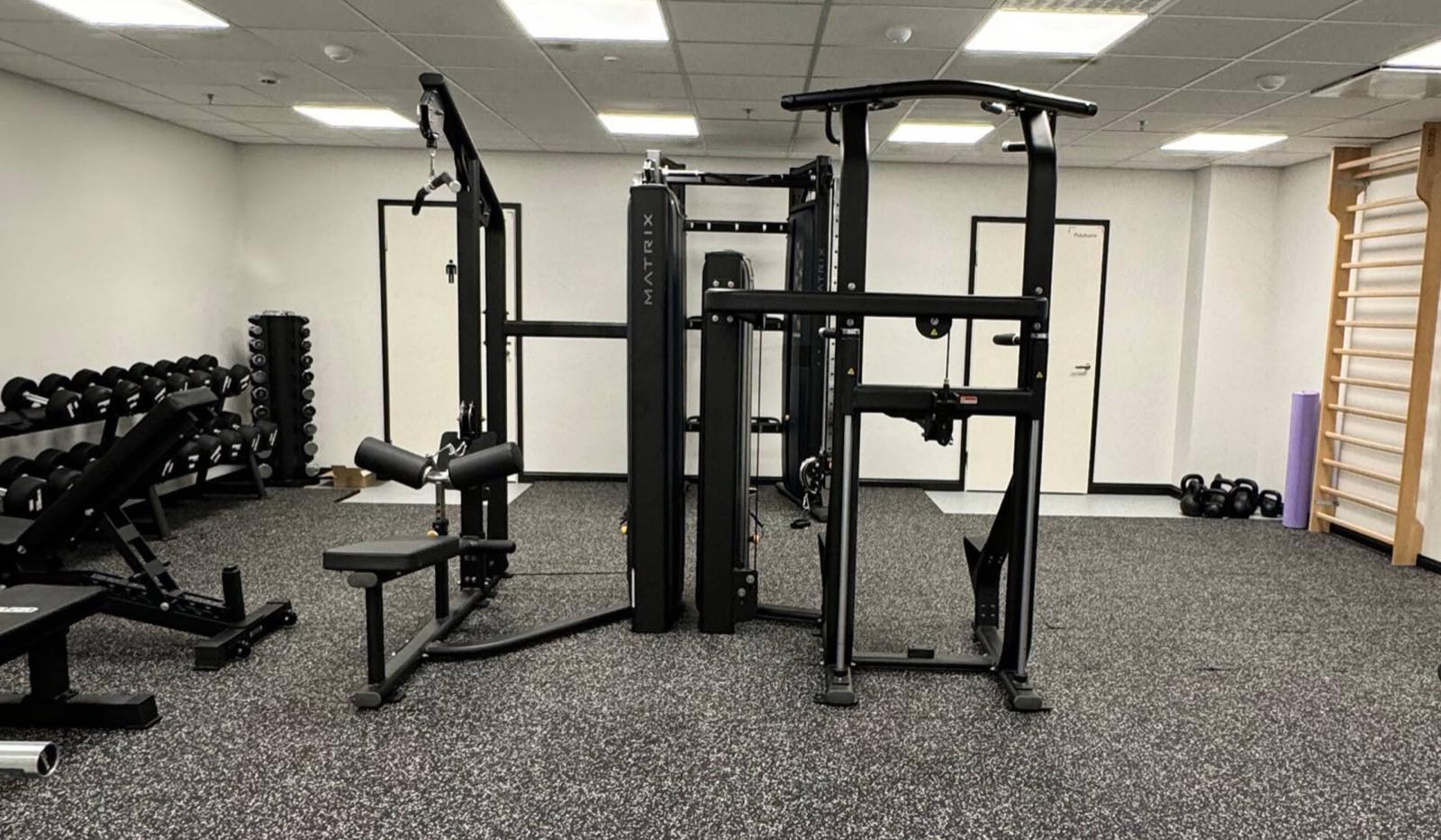 The building's gym: a cable machine and a pull-up and dip station, with dumbbells and benches along the left wall and wall bars on the right