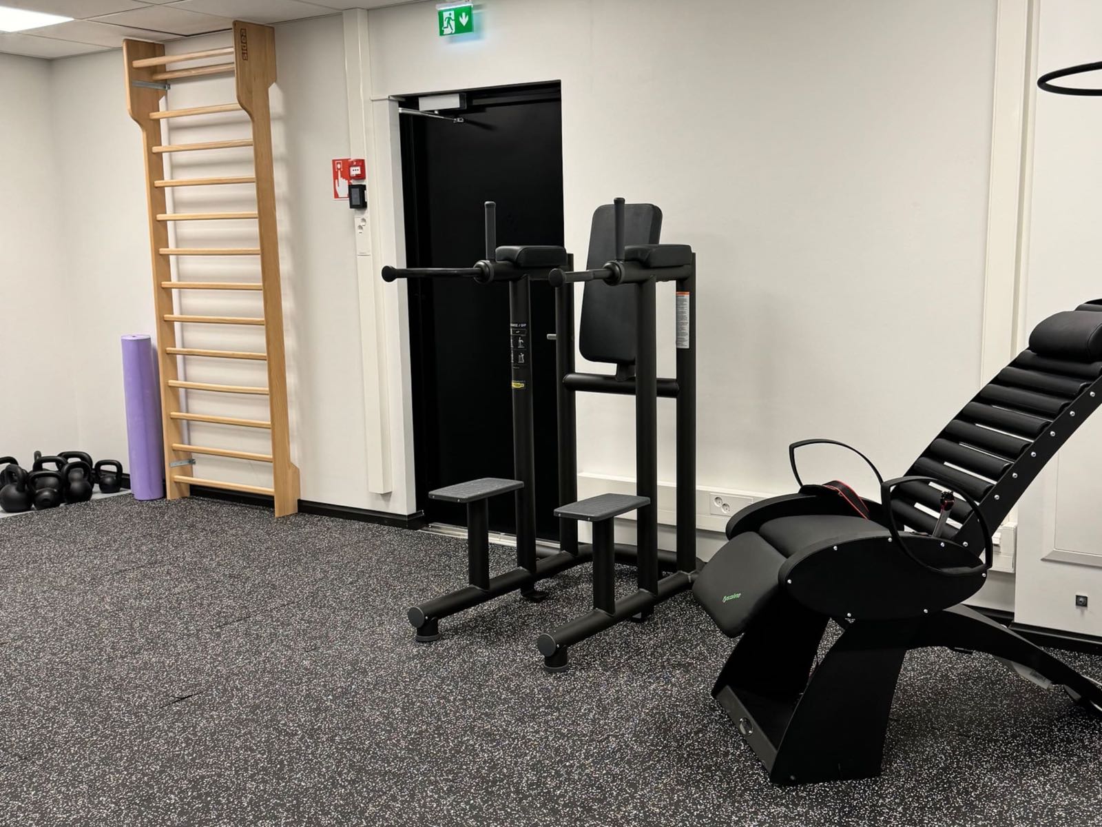 Wall bars, kettlebells and a rolled-up yoga mat by the wall, with a dip station in front
