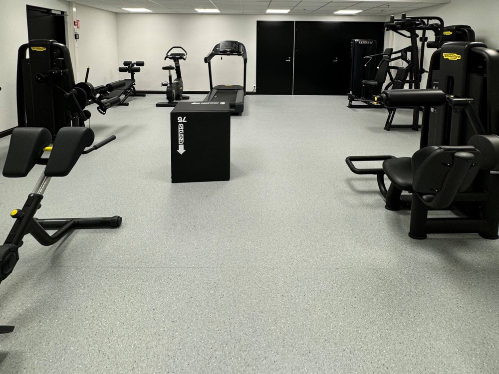 The building's gym, with strength machines on both sides and a treadmill and a stationary bike by the far wall